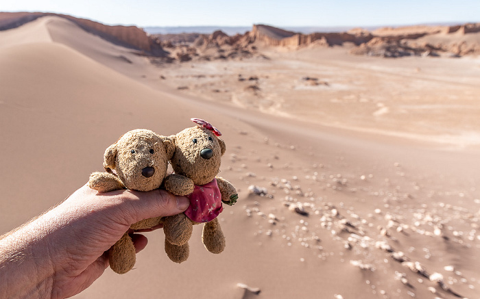 Reserva nacional los Flamencos Cordillera de la Sal (Atacama): Valle de la Luna mit der Duna Mayor: Teddy und Teddine