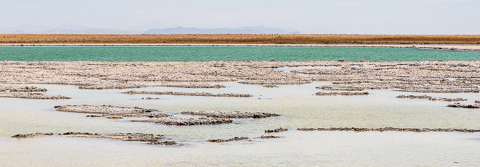 Salar de Atacama Laguna Cejar
