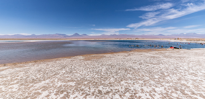 Salar de Atacama Laguna Piedra