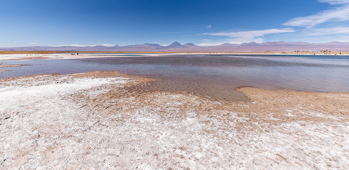 Laguna Piedra Salar de Atacama