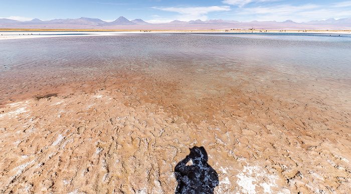 Laguna Piedra Salar de Atacama