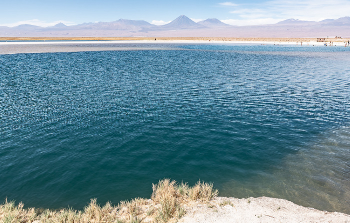 Salar de Atacama Laguna Piedra