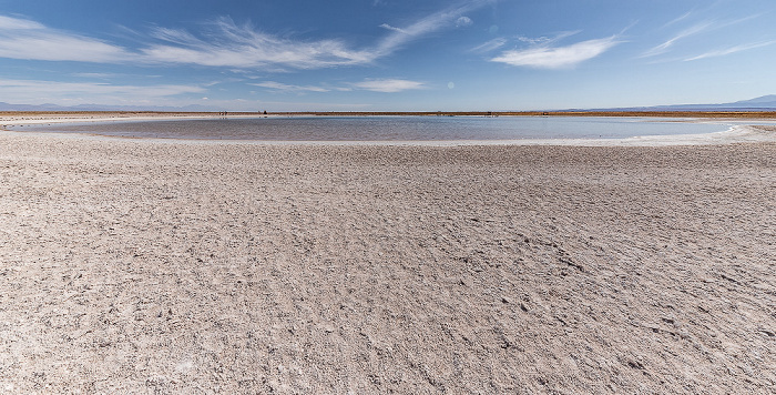 Salar de Atacama Laguna Piedra