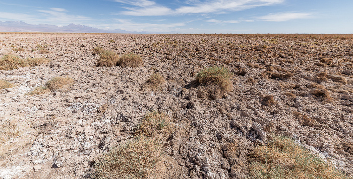 Salar de Atacama