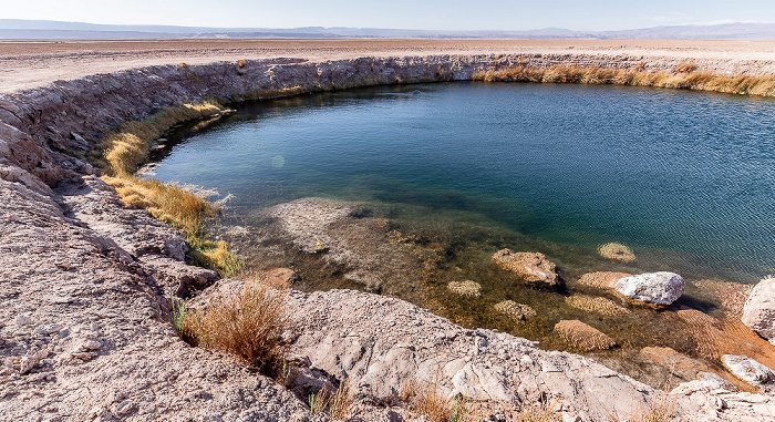 Salar de Atacama Ojos de Tebinquiche