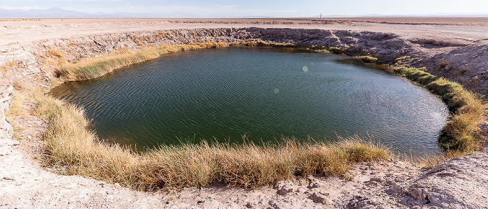 Salar de Atacama Ojos de Tebinquiche