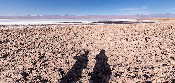 Salar de Atacama Laguna Tebinquiche