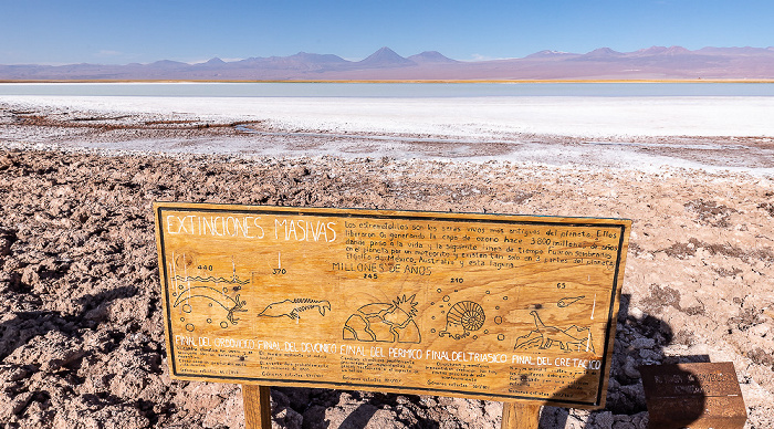 Salar de Atacama Laguna Tebinquiche