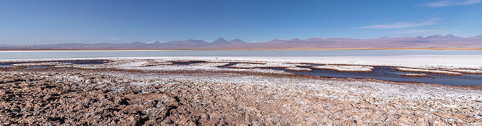 Salar de Atacama Laguna Tebinquiche