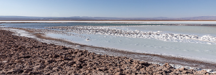 Salar de Atacama Laguna Tebinquiche