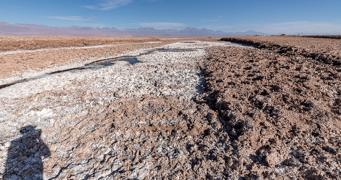 Salar de Atacama Laguna Tebinquiche