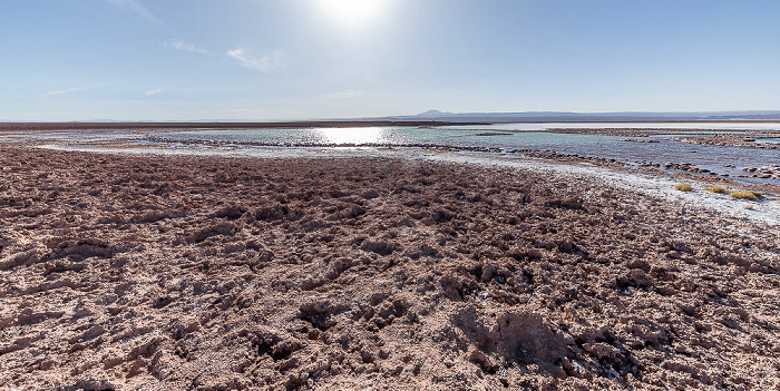 Salar de Atacama Laguna Tebinquiche