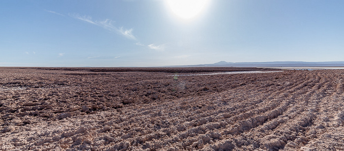 Laguna Tebinquiche Salar de Atacama