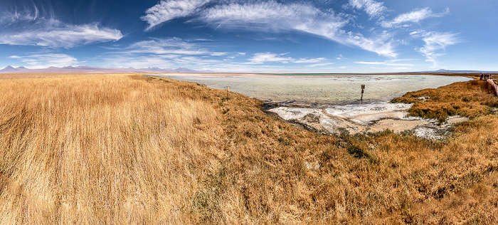 Laguna Cejar Salar de Atacama