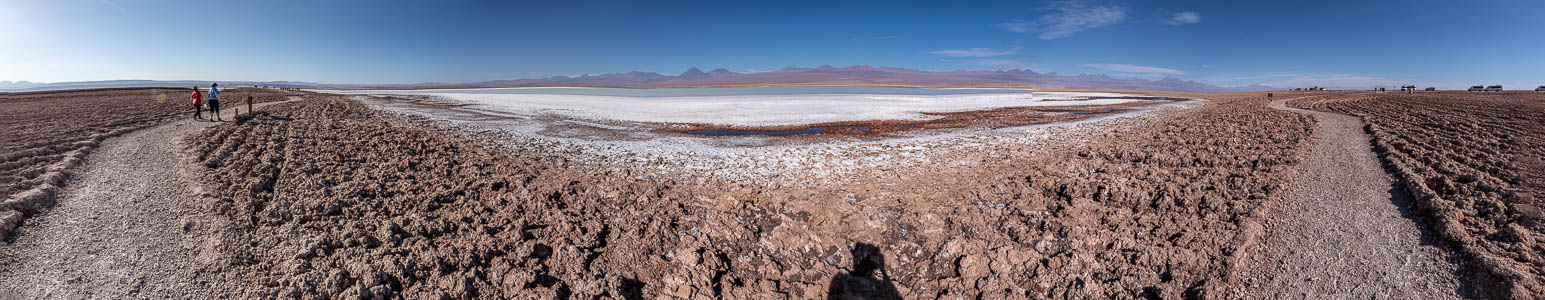 Salar de Atacama Laguna Tebinquiche
