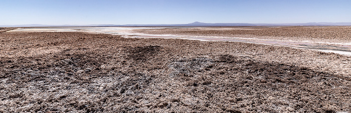 Reserva nacional los Flamencos Salar de Atacama: Laguna Chaxa