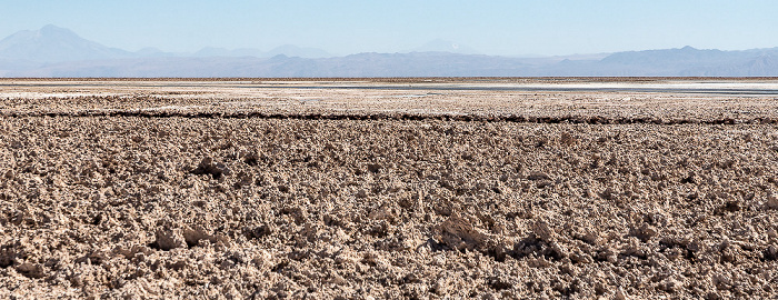 Reserva nacional los Flamencos Salar de Atacama