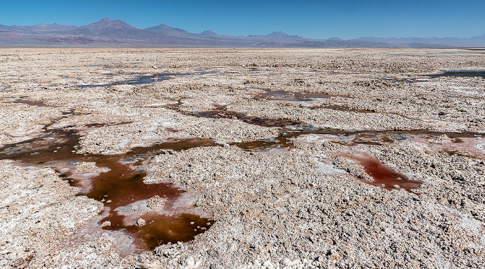 Reserva nacional los Flamencos Salar de Atacama: Laguna Chaxa