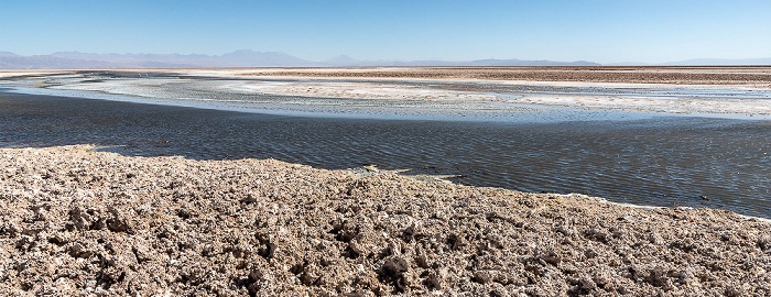 Salar de Atacama: Laguna Chaxa Reserva nacional los Flamencos