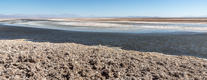 Reserva nacional los Flamencos Salar de Atacama: Laguna Chaxa