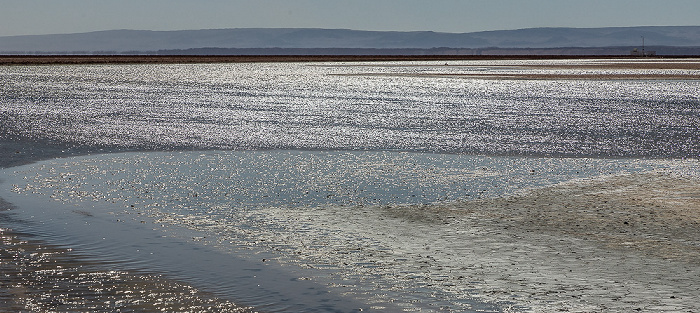 Reserva nacional los Flamencos Salar de Atacama: Laguna Chaxa