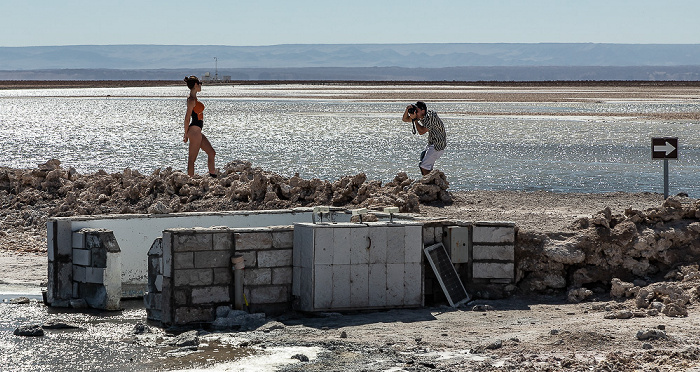 Reserva nacional los Flamencos Salar de Atacama: Laguna Chaxa