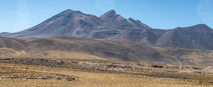 Altiplano Anden mit dem Volcán Miñiques