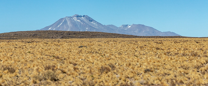 Volcán Pular Altiplano