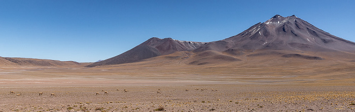 Altiplano Volcán Miñiques
