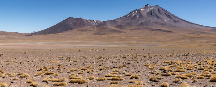 Volcán Miñiques Altiplano