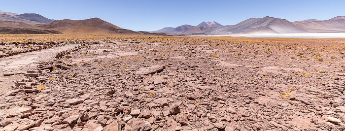Piedras Rojas / Salar de Aguas Calientes III Altiplano