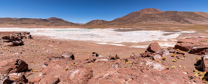 Altiplano Piedras Rojas / Salar de Aguas Calientes III