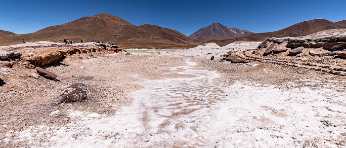 Altiplano Piedras Rojas / Salar de Aguas Calientes III Volcán Miñiques