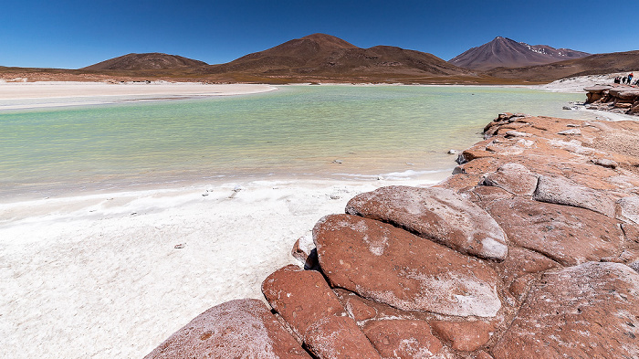 Altiplano Piedras Rojas / Salar de Aguas Calientes III