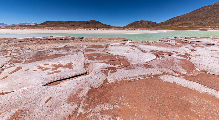 Piedras Rojas / Salar de Aguas Calientes III Altiplano