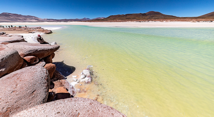 Piedras Rojas / Salar de Aguas Calientes III Altiplano