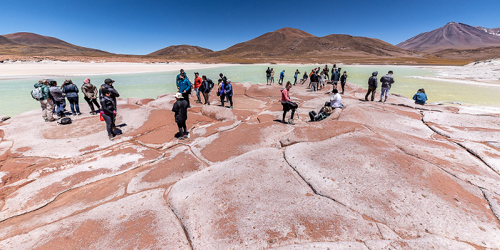 Piedras Rojas / Salar de Aguas Calientes III Altiplano