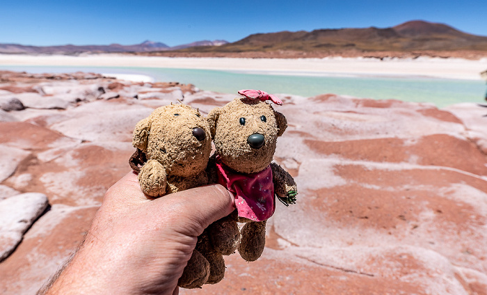 Altiplano Piedras Rojas / Salar de Aguas Calientes III: Teddy und Teddine