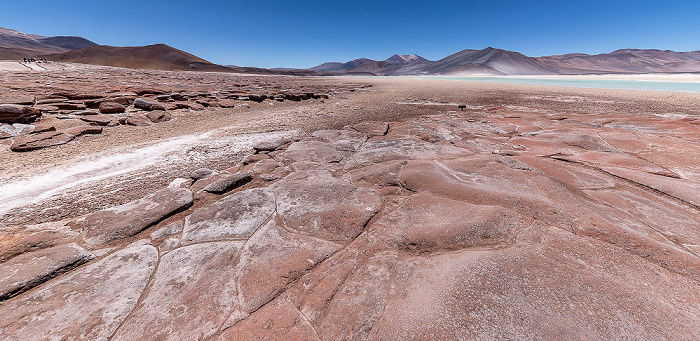 Piedras Rojas / Salar de Aguas Calientes III Altiplano