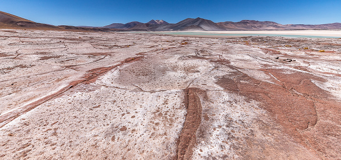 Altiplano Piedras Rojas / Salar de Aguas Calientes III