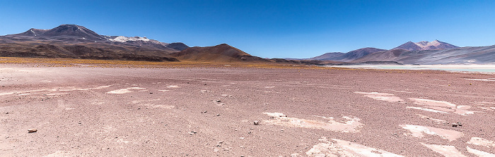 Altiplano Piedras Rojas / Salar de Aguas Calientes III