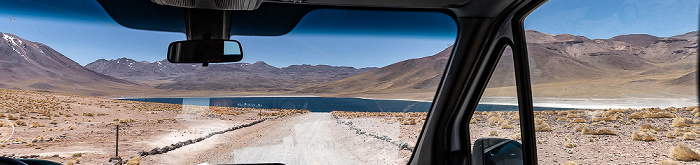 Altiplano: Laguna Miscanti Reserva nacional los Flamencos