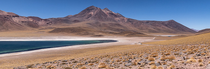 Reserva nacional los Flamencos Altiplano: Laguna Miscanti, Volcán Miñiques
