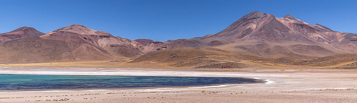 Reserva nacional los Flamencos Altiplano: Laguna Miscanti Volcán Miñiques