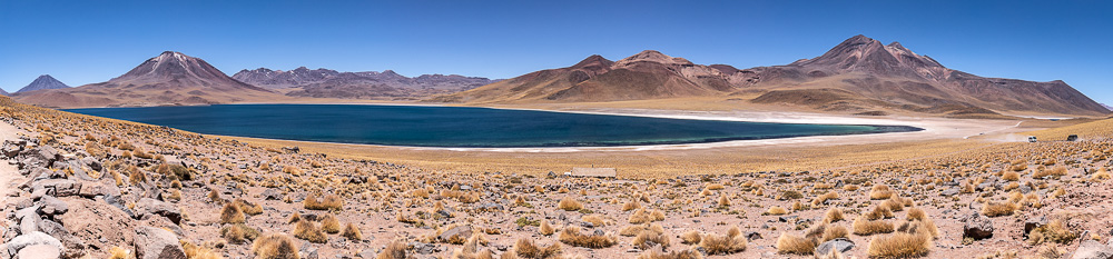 Altiplano: Laguna Miscanti Reserva nacional los Flamencos