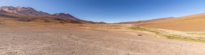 Altiplano Vega El Tatio