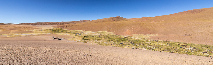 Altiplano Vega El Tatio