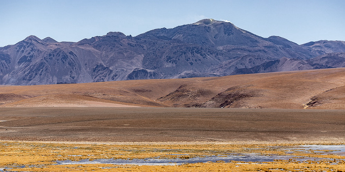 Altiplano Río Putana, Volcán Putana