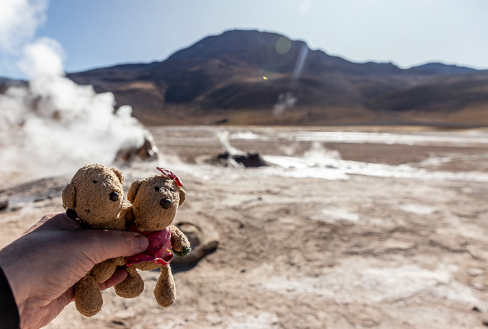 El Tatio Geothermalgebiet: Teddy und Teddine