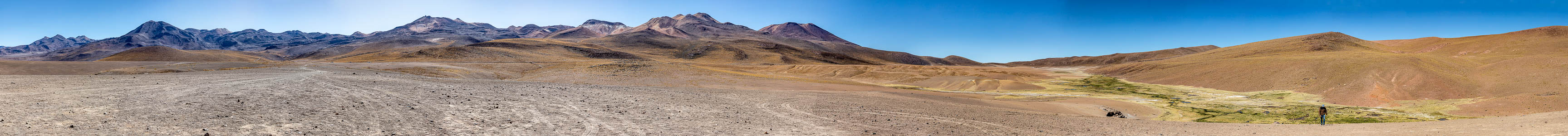 Vega El Tatio Altiplano